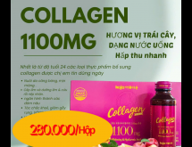 Collagen 1100gr Hương vị trái cây